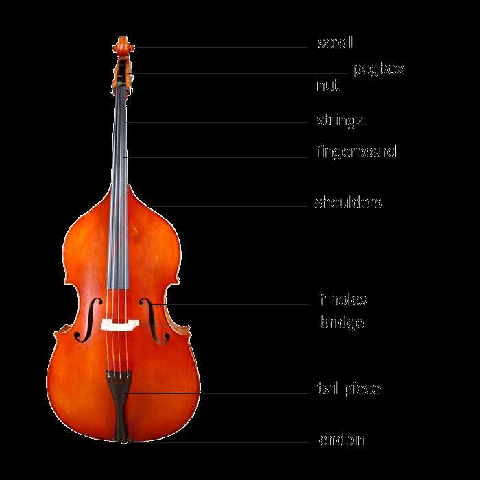 cello parts diagram