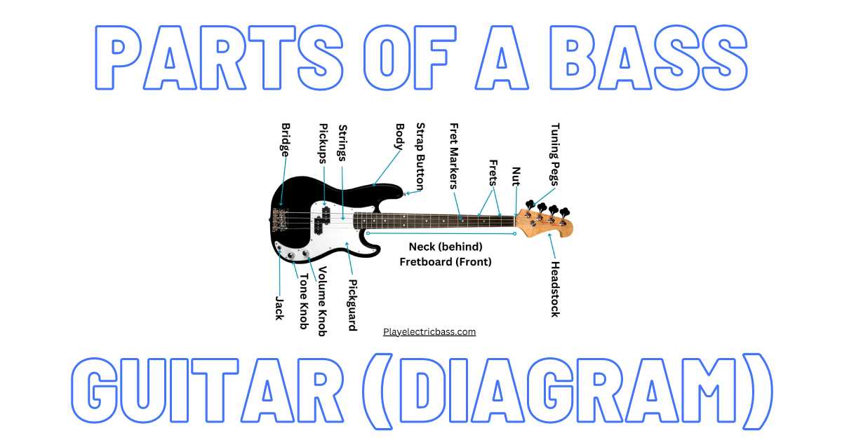 guitar diagram parts