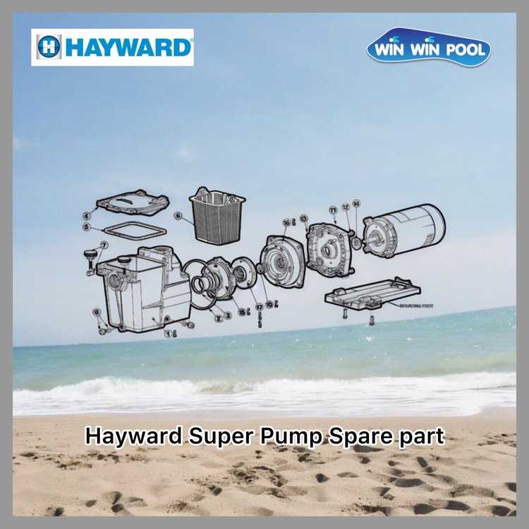 hayward pool pump parts diagram