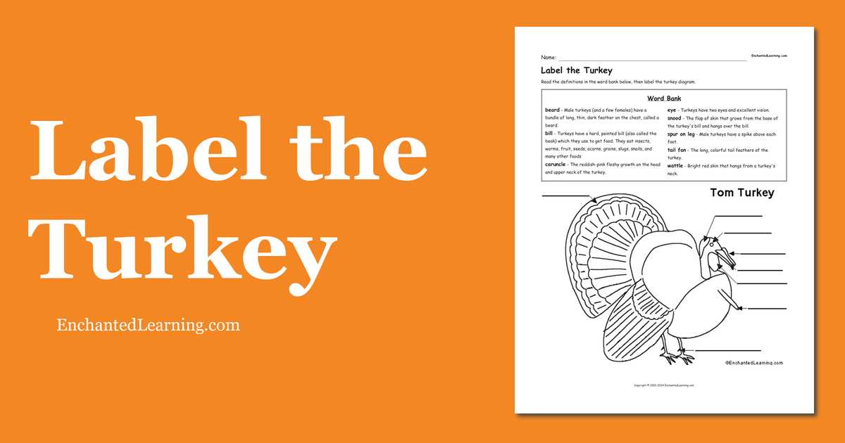 labeled parts of a turkey diagram