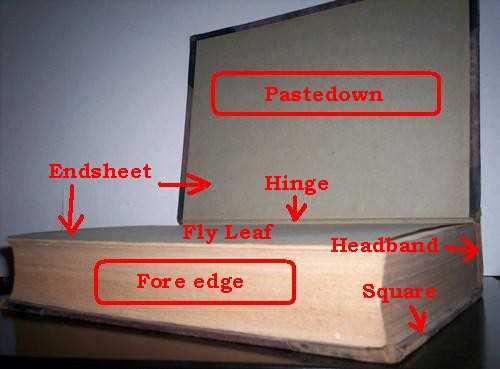 parts of a book diagram