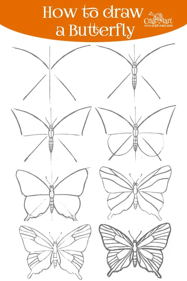 parts of a butterfly diagram