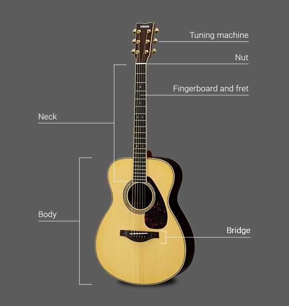 parts of a guitar diagram acoustic