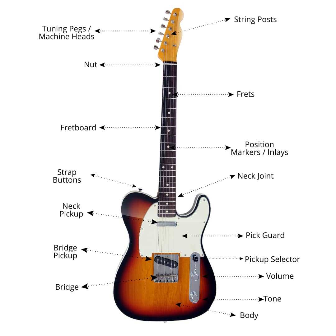 parts of a guitar diagram acoustic