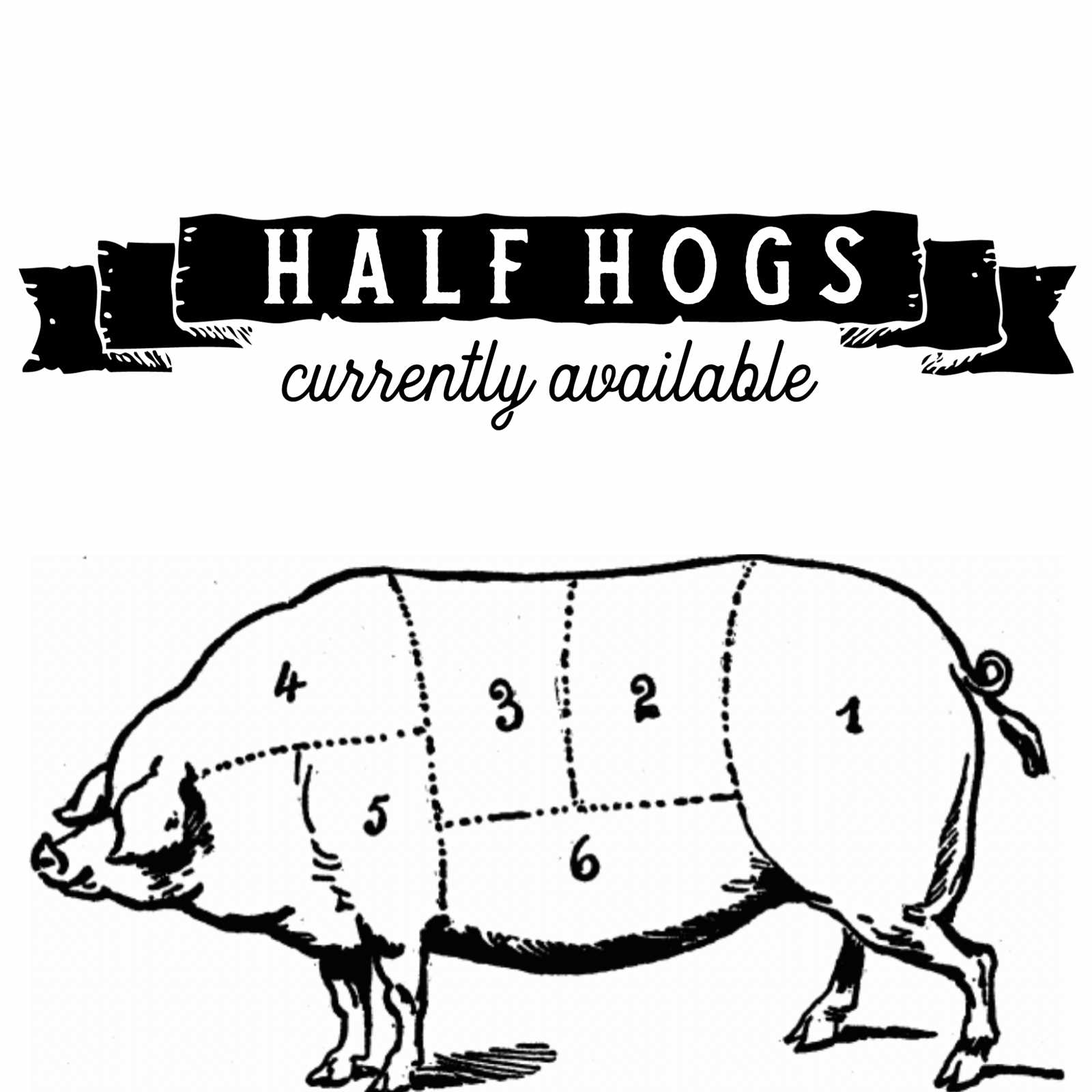 parts of a hog diagram