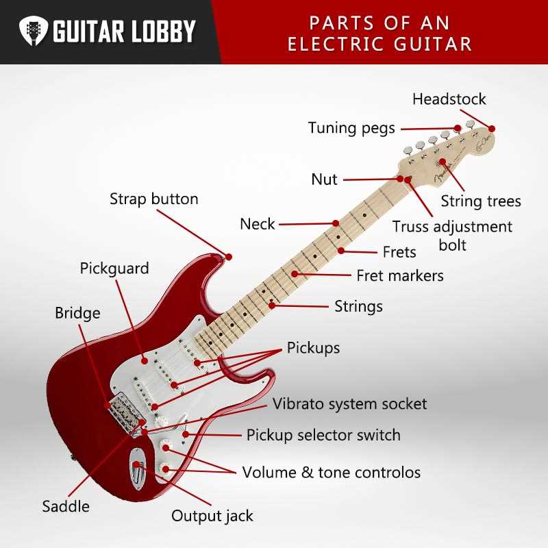 parts of the acoustic guitar diagram