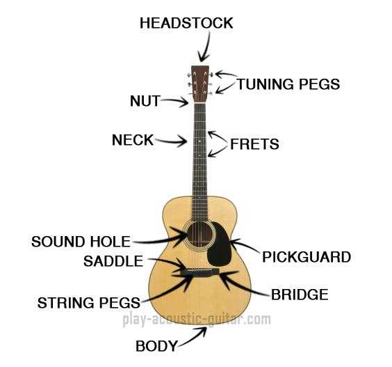 parts of the acoustic guitar diagram