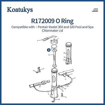 pentair 300 chlorinator parts diagram