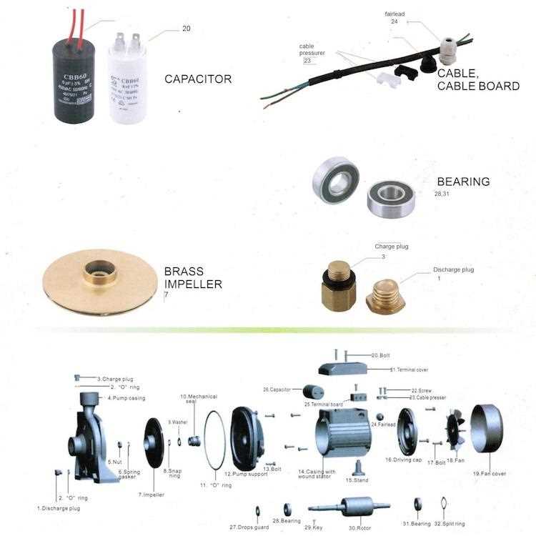 water pump parts diagram