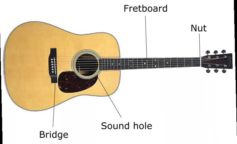 acoustic guitar parts diagram