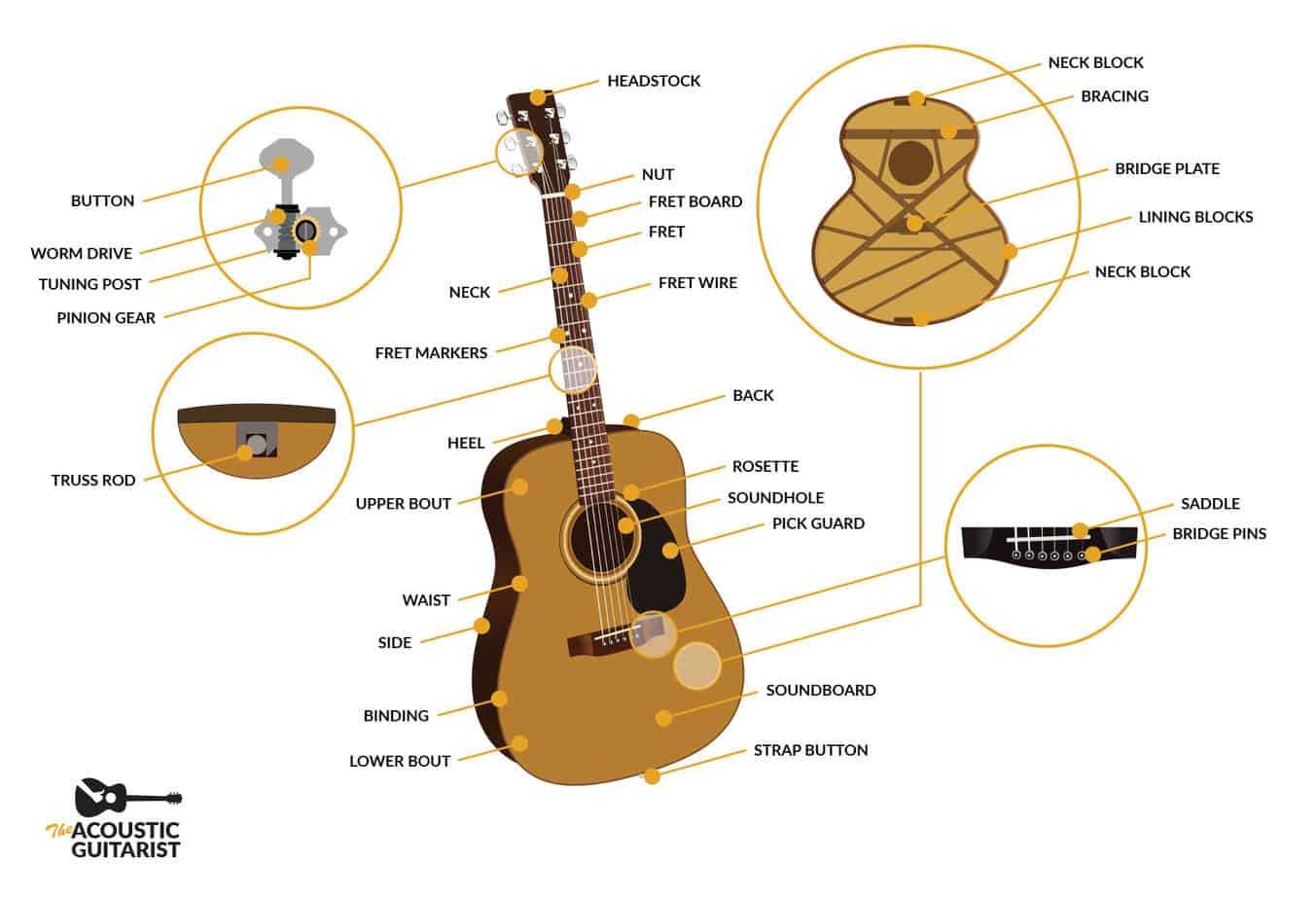 acoustic guitar parts diagram