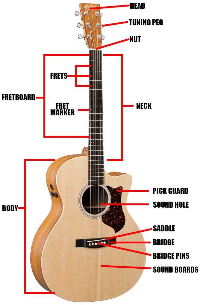 acoustic guitar parts diagram