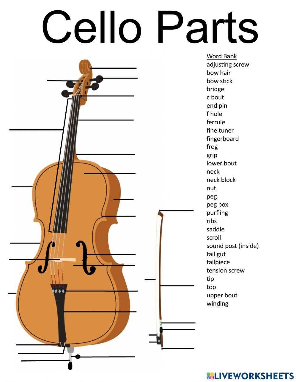 cello parts diagram