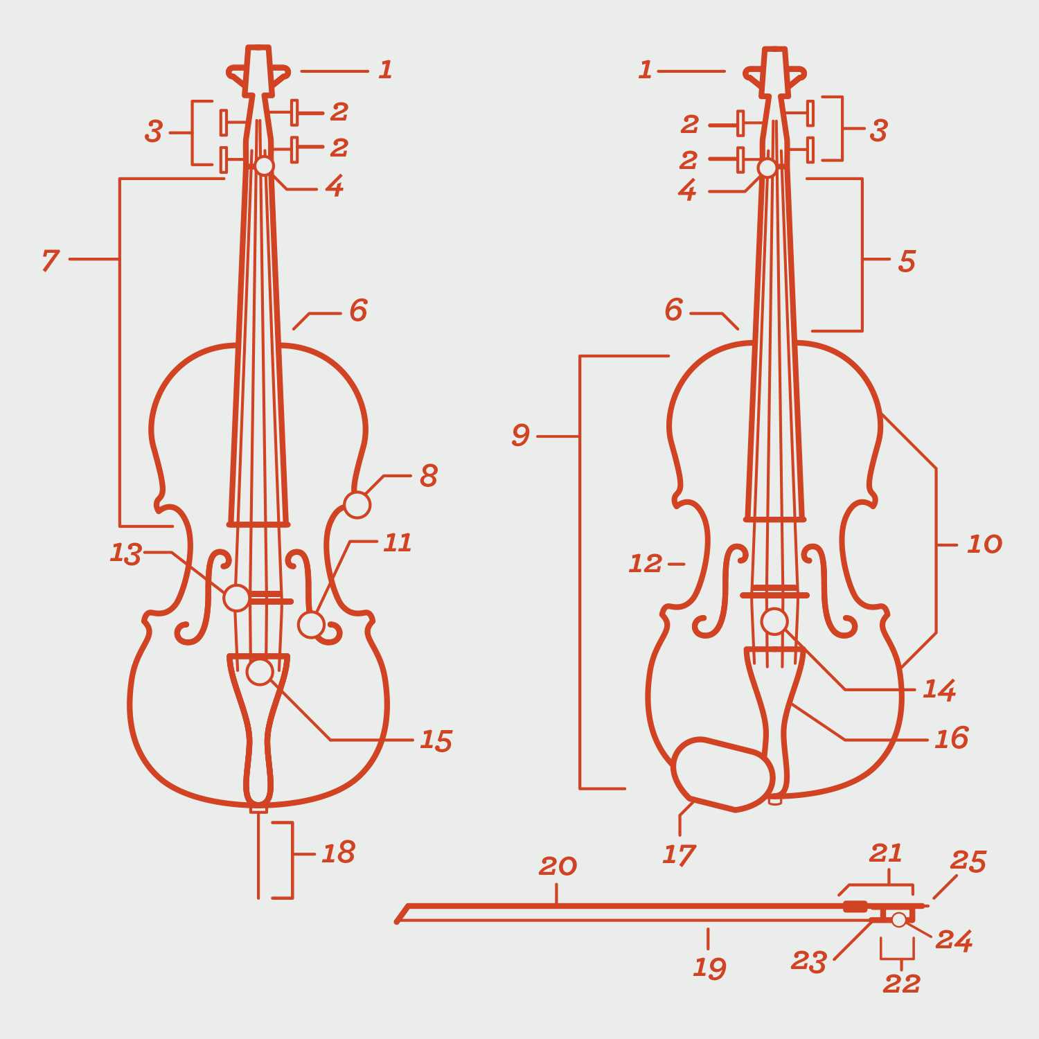 cello parts diagram