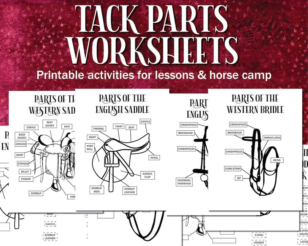 diagram of horse parts