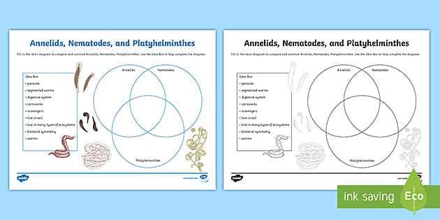 venn diagram trees body parts