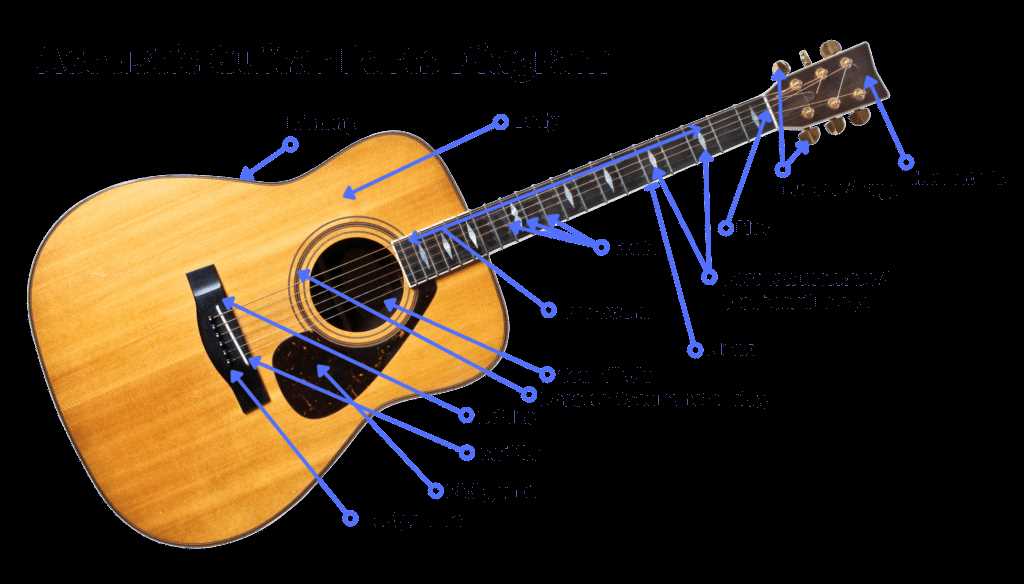 parts of the acoustic guitar diagram