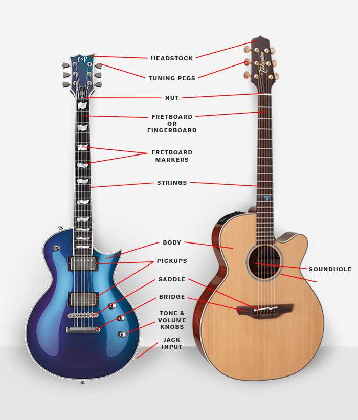 parts of a guitar diagram acoustic