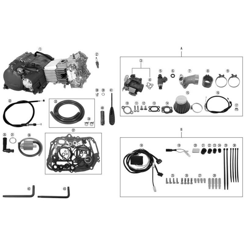 taotao parts diagram