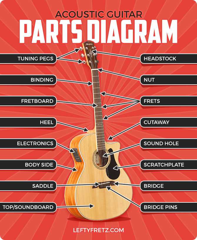 parts of the acoustic guitar diagram