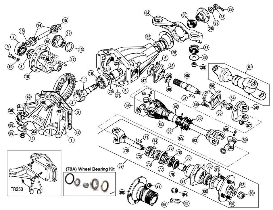 rear differential parts diagram