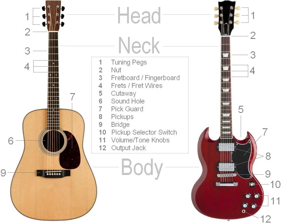 electric bass parts diagram