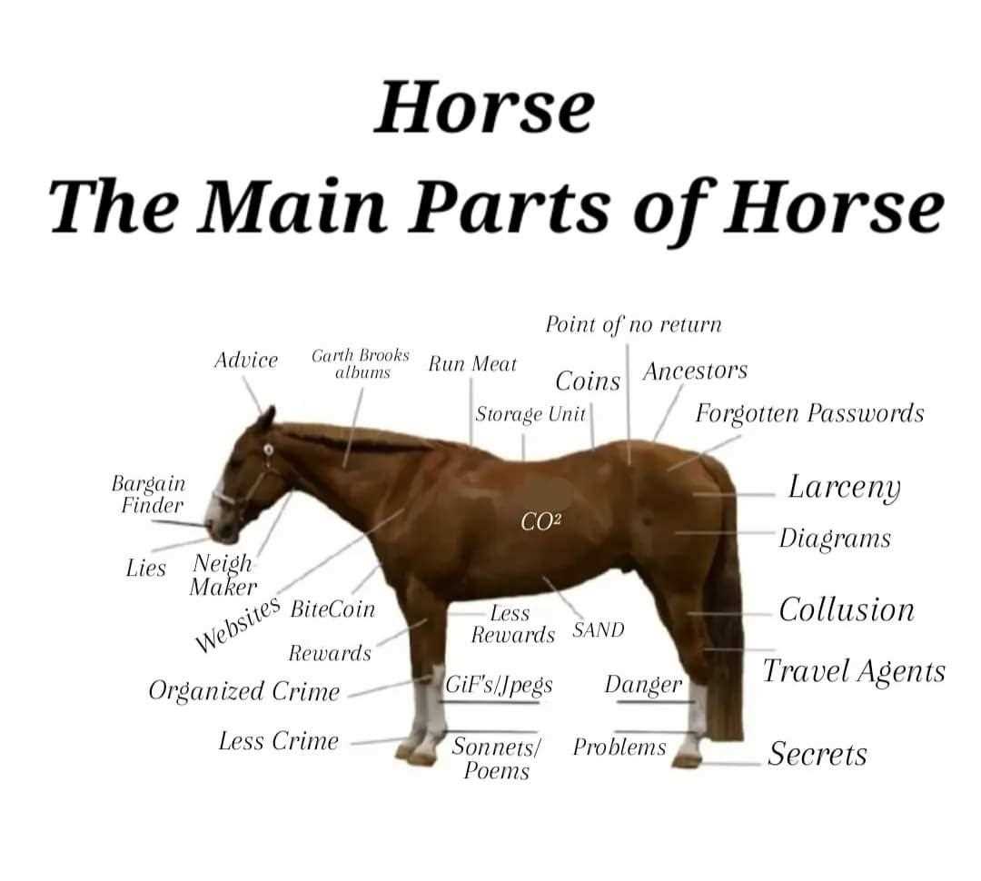 diagram of horse parts
