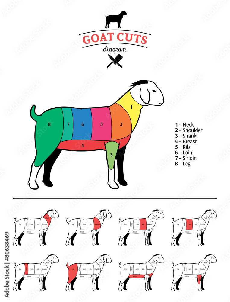 goat parts diagram