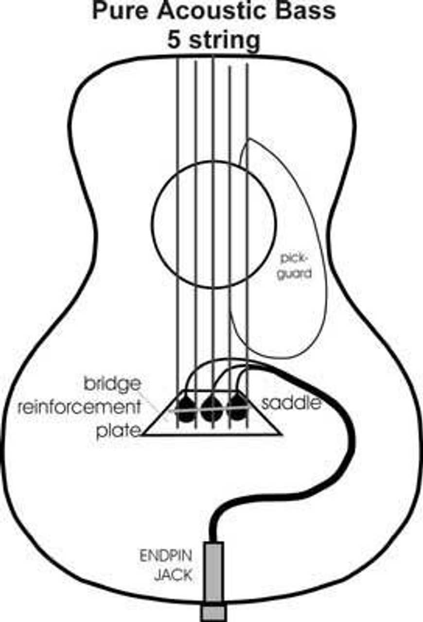 bass guitar parts diagram