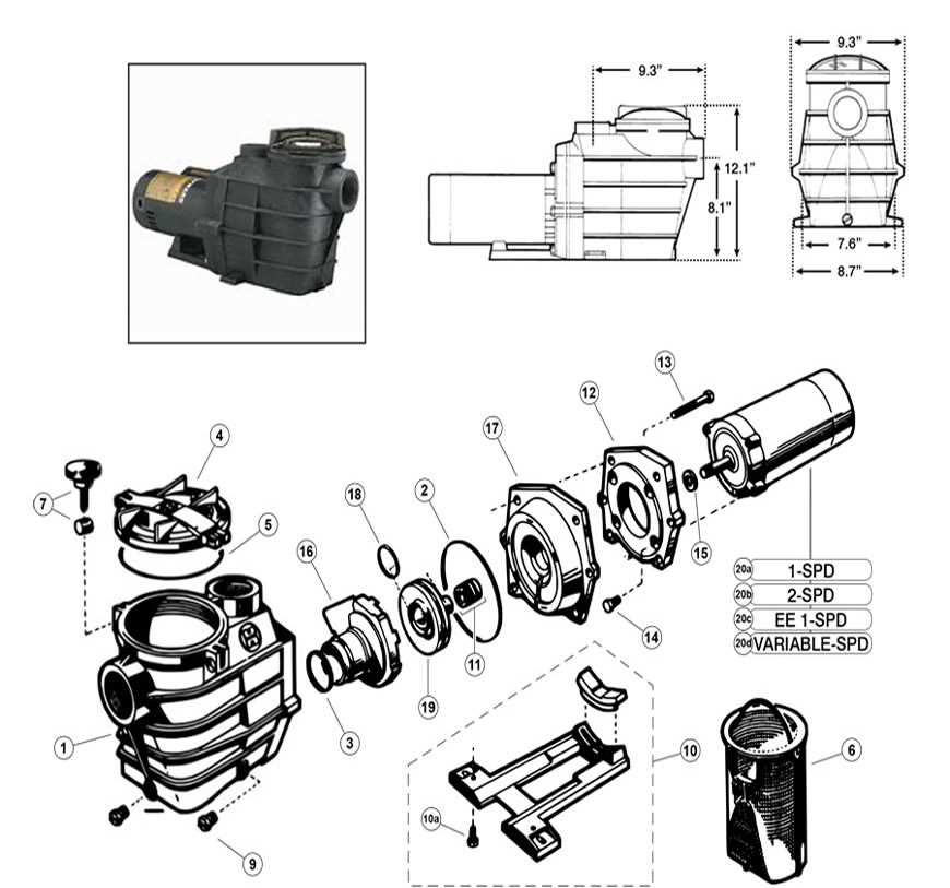 hayward super pump 1.5 hp parts diagram