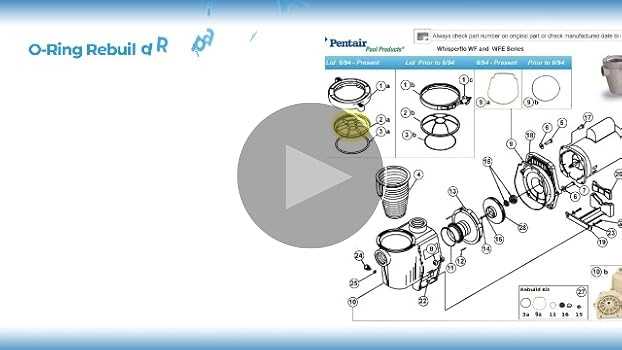 pentair sand dollar filter parts diagram