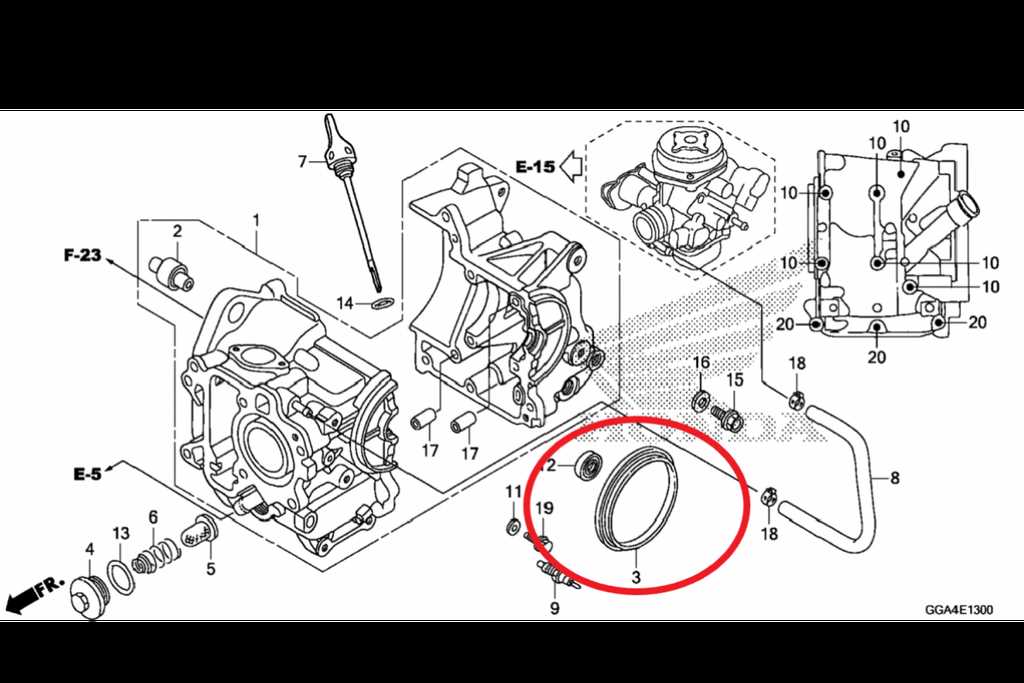 honda ruckus parts diagram