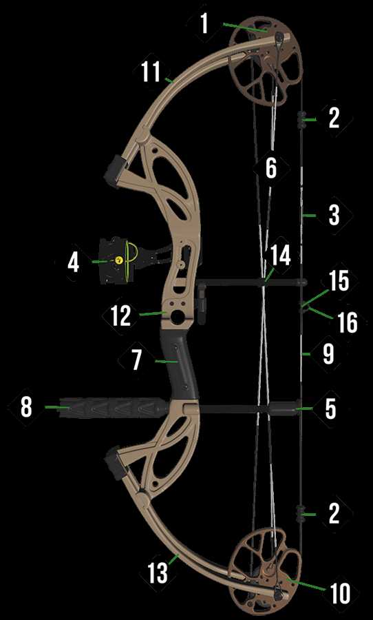 parts of a crossbow diagram