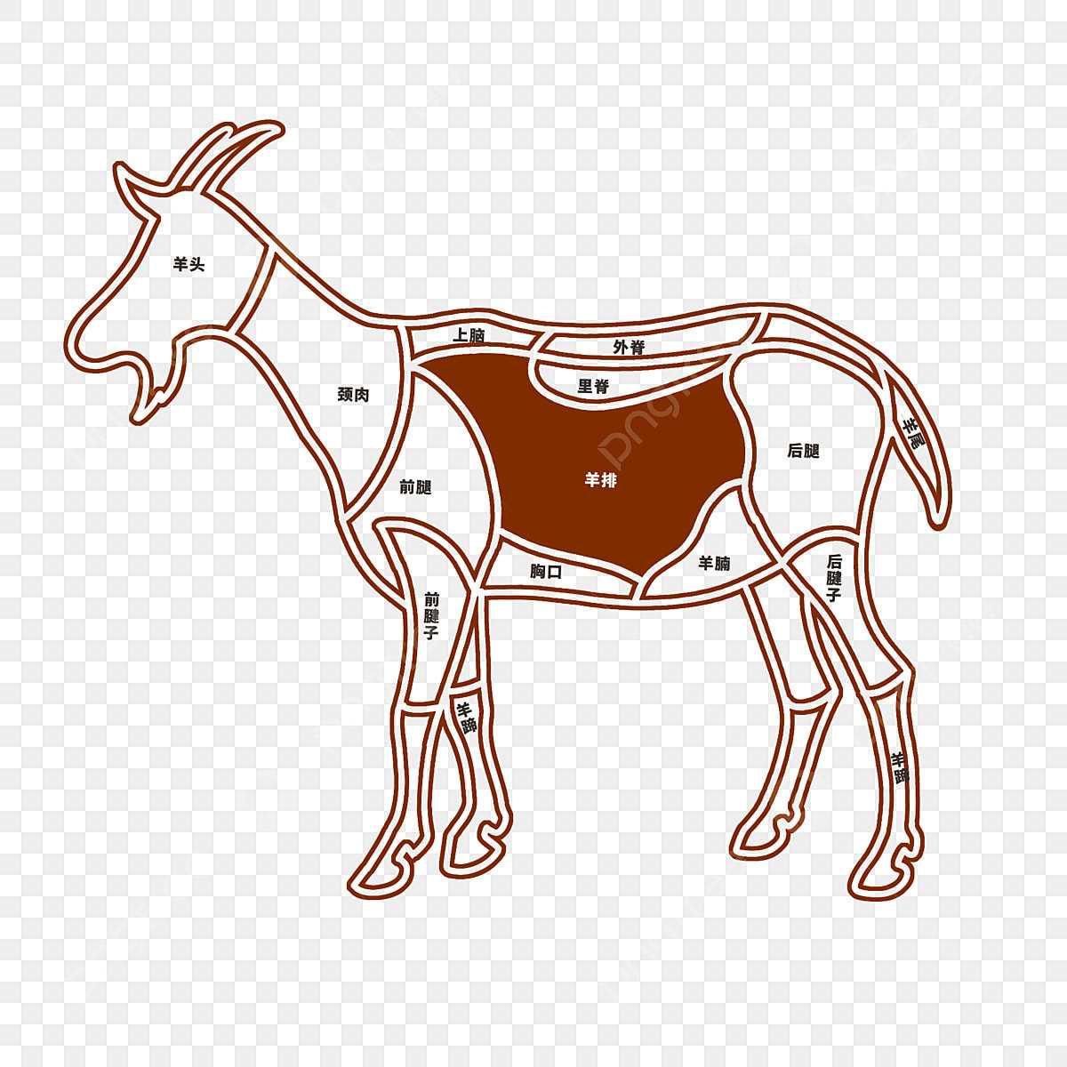 goat parts diagram