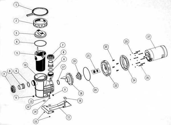 intex pool pump parts diagram