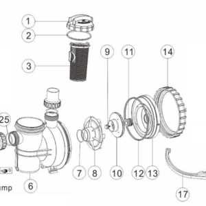 intex pool pump parts diagram