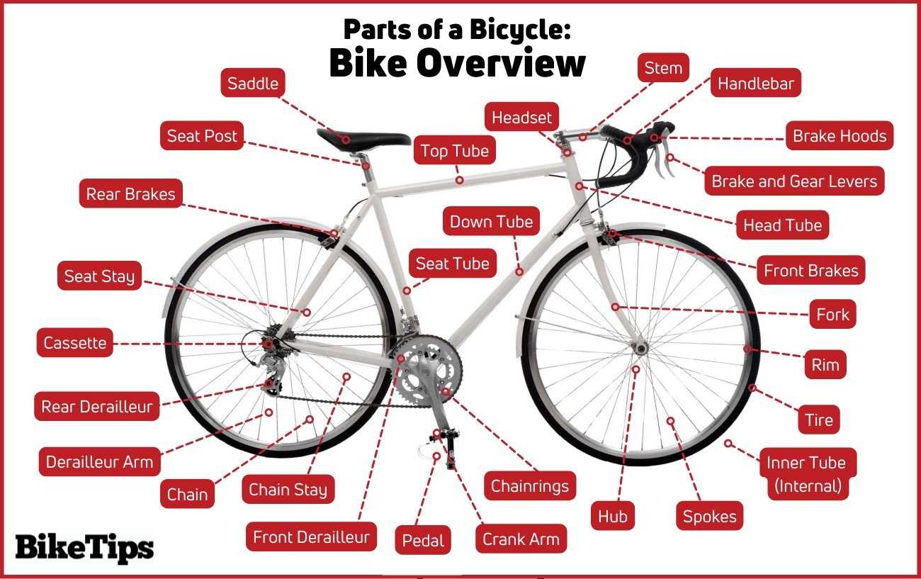 mtb parts diagram