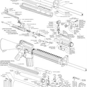 M16 Parts Diagram Complete Guide for Gun Enthusiasts