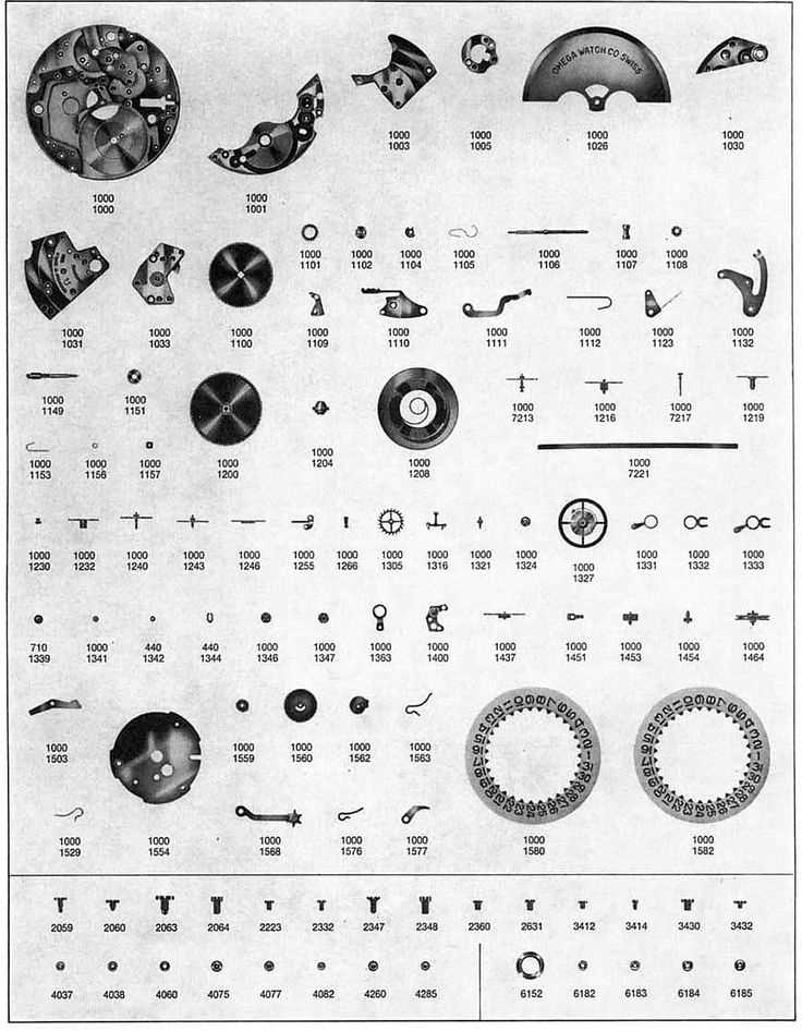 rolex watch parts diagram