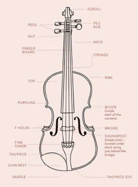 cello parts diagram