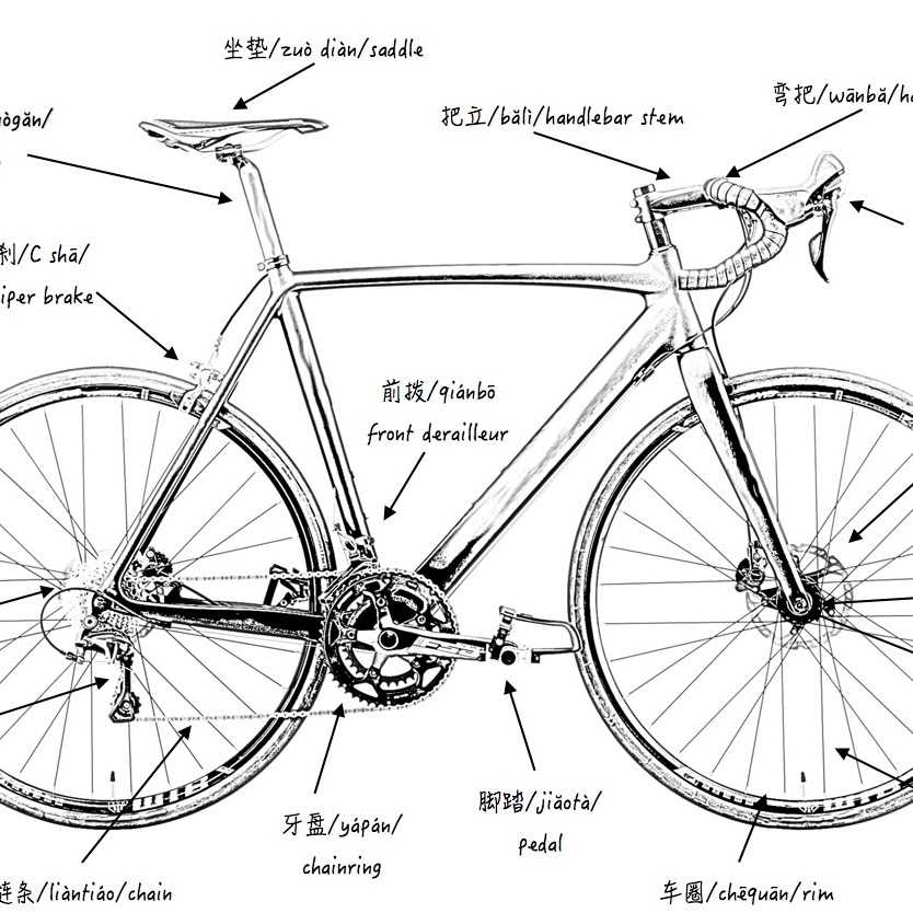 mtb parts diagram