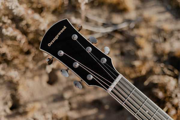 parts of the acoustic guitar diagram