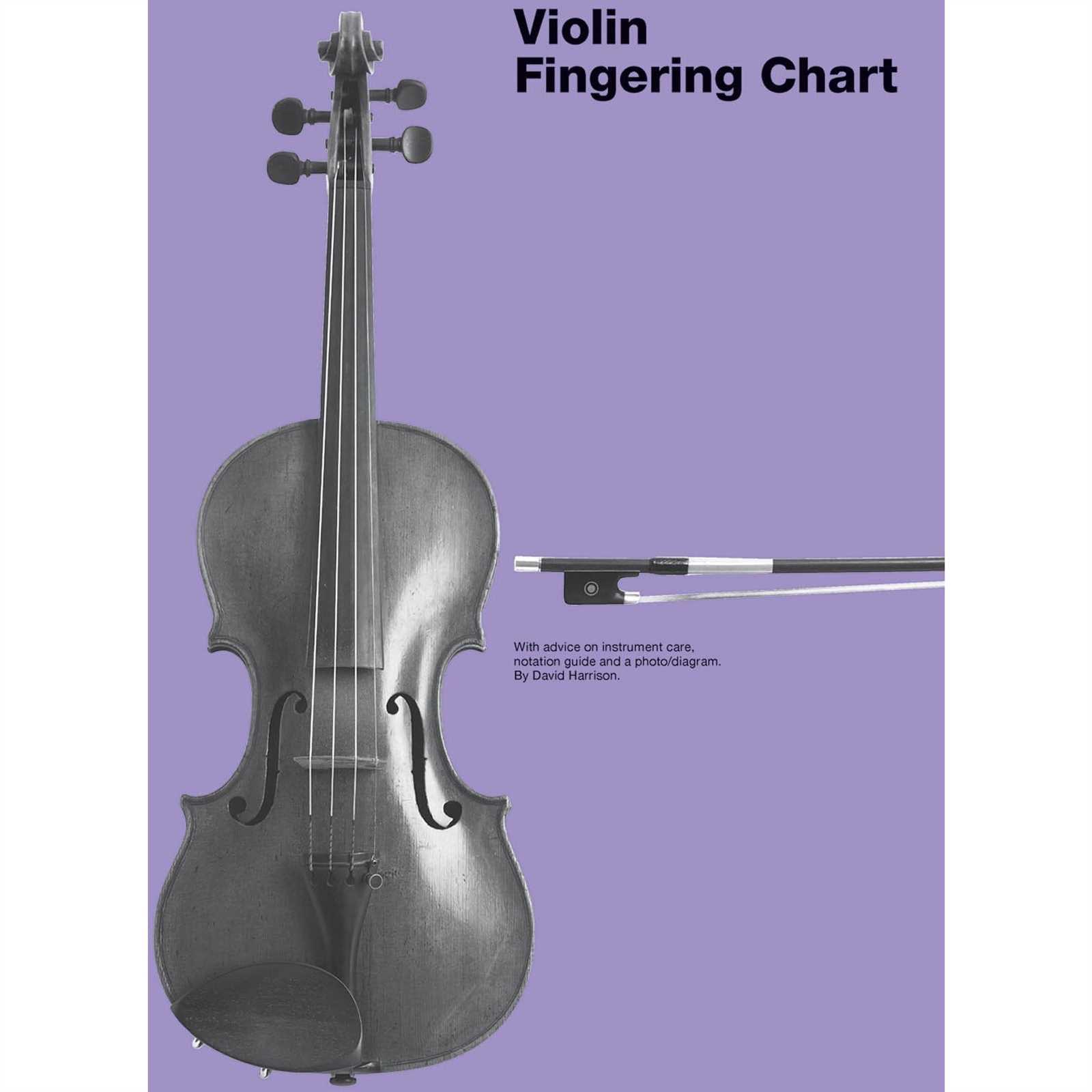 Understanding the Parts of a Cello Diagram for Beginners