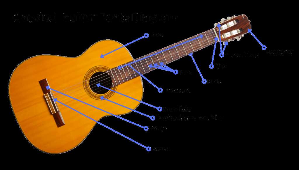 parts of a guitar diagram acoustic