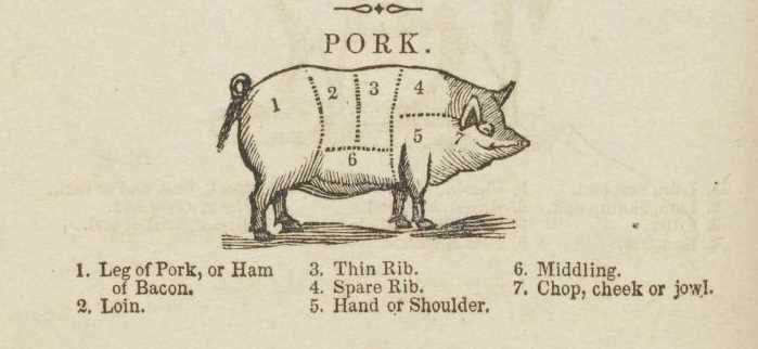 parts of a hog diagram