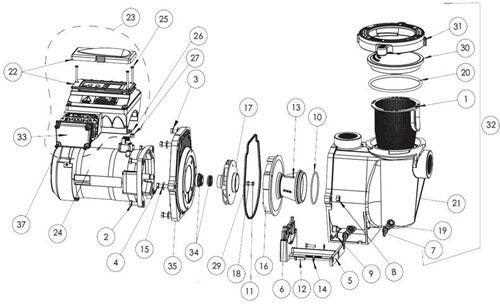 pool parts diagram