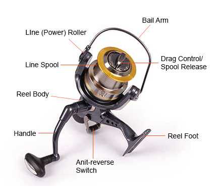 shimano reel diagrams parts lists