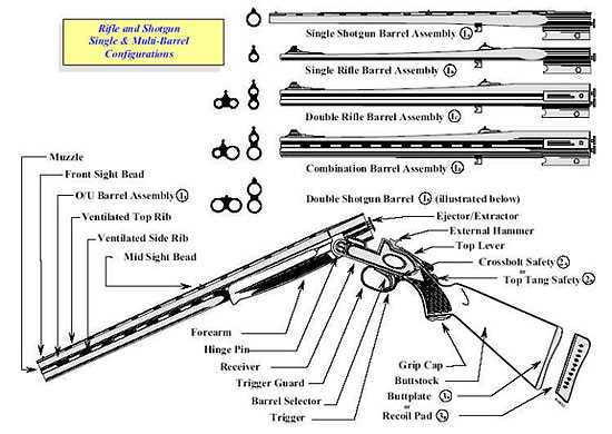 Single Shot Shotgun Parts Diagram and Detailed Breakdown