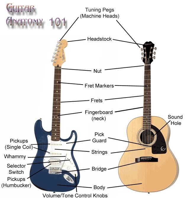 parts of the acoustic guitar diagram