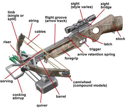 parts of a crossbow diagram